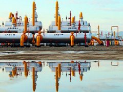 让推窗见绿、移步换景成