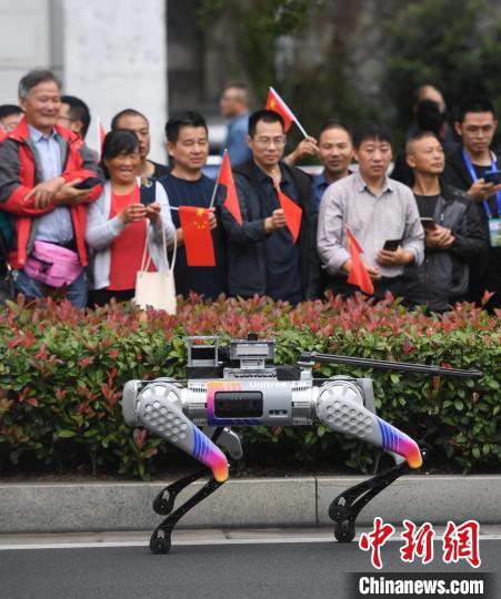 杭州亚残运会火炬传递首次启用智能导盲犬 引领